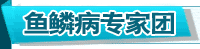  深圳新兴皮肤病专科医院-鱼鳞病专家团